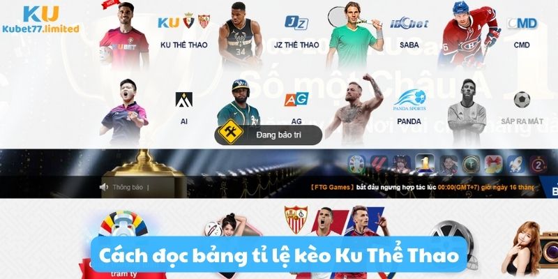 Cách đọc bảng tỷ lệ kèo Ku Thể Thao