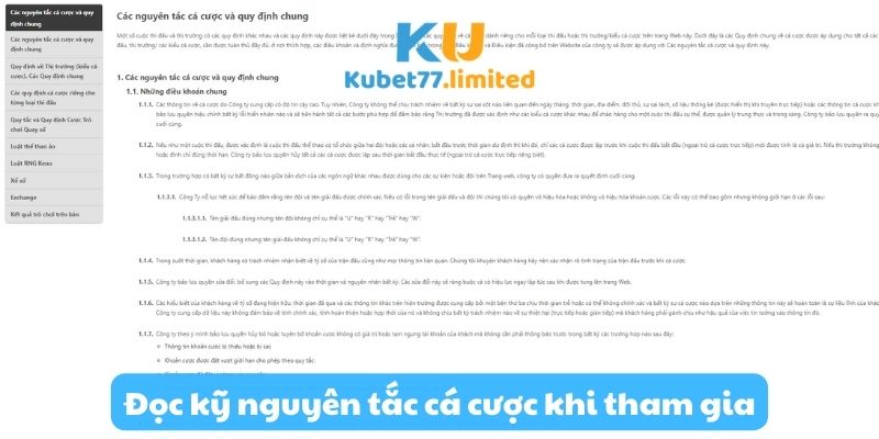 Đọc kỹ nguyên tắc cá cược trước khi tham gia