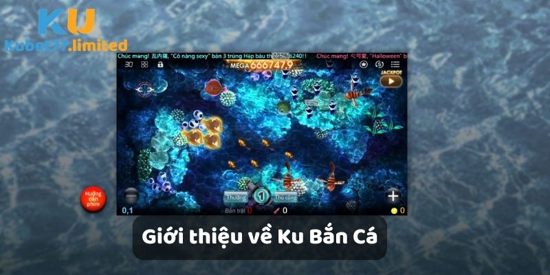 Giới thiệu về Ku Bắn Cá