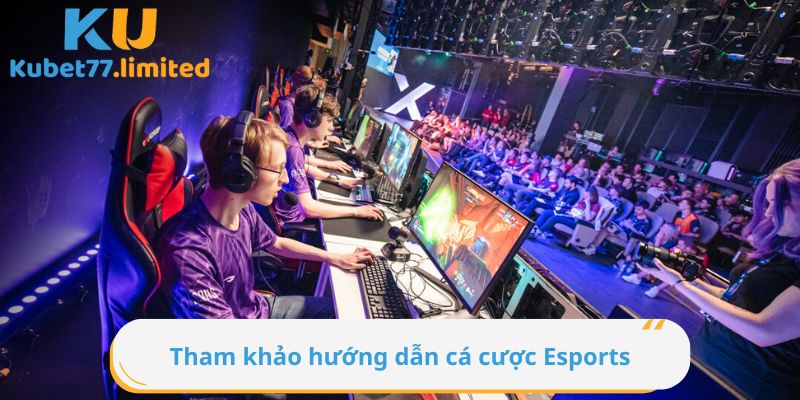 Tham khảo hướng dẫn cá cược Esports để có cách chơi đúng đắn