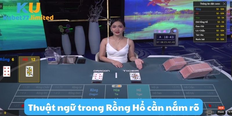 Thuật ngữ khi tham gia cá cược rồng hổ